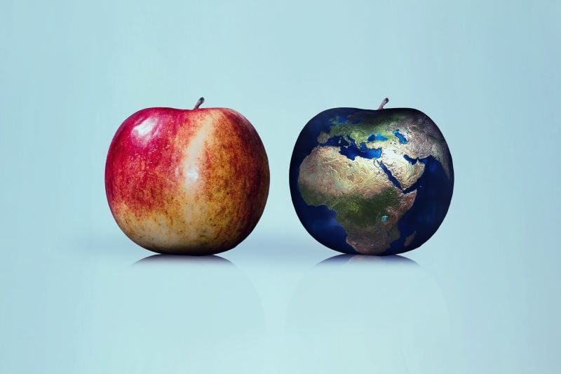 Ein Apfel und ein Apfel im Design der Erde