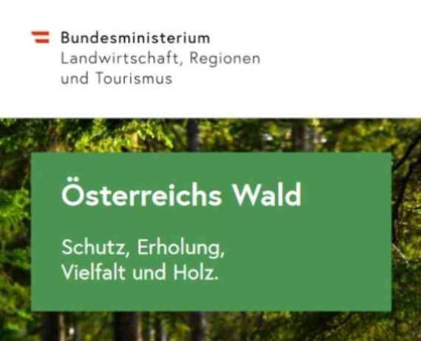 Ausschnitt Broschüre 