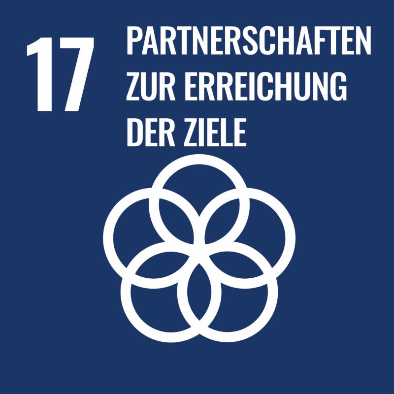 SDG's 17 mit dem Text "Partnerschaften zur Erreichung der Ziele"