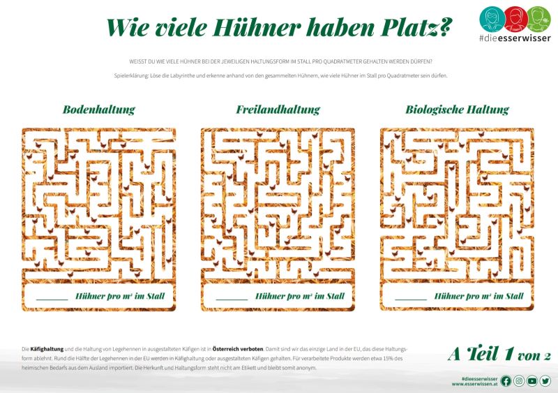 Hühner-Haltungsform Labyrinth