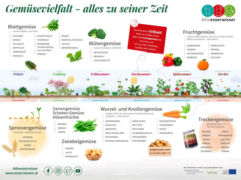Ausschnitt der Gemüsevielfalt Österreichs, abgebildet sind verschiedene Gemüsesorten und Text zum Thema