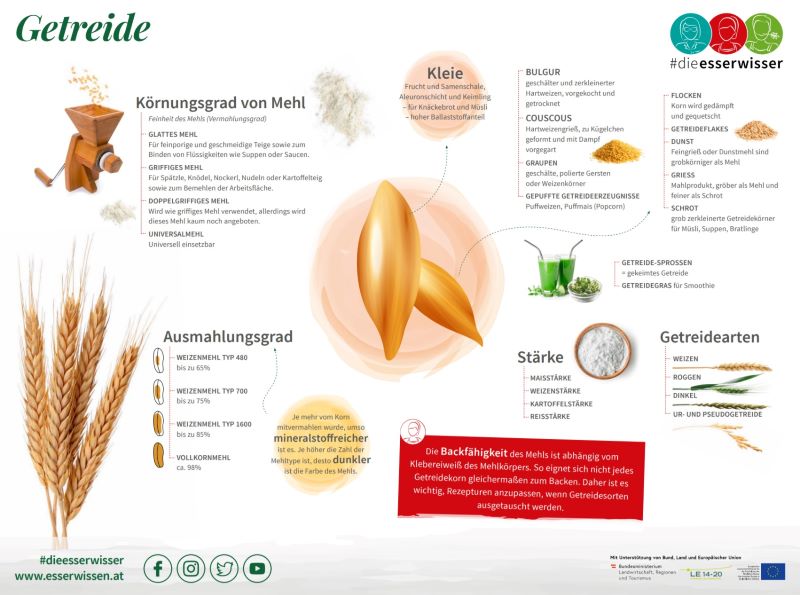 Ausschnitt Infografik Getreideprodukte; man sieht das Getreidekorn, eine Ähre, Getreidemühle und die Erklärung dazu