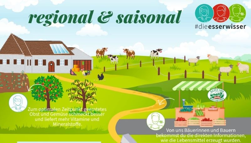 Ausschnitt von der Grafik "regional und saisonal"; ein Bauernhof mit Kühen und Schafen auf einer Weide, ein Verkaufsstand, Obstbäume und eine schöne grüne Wiese