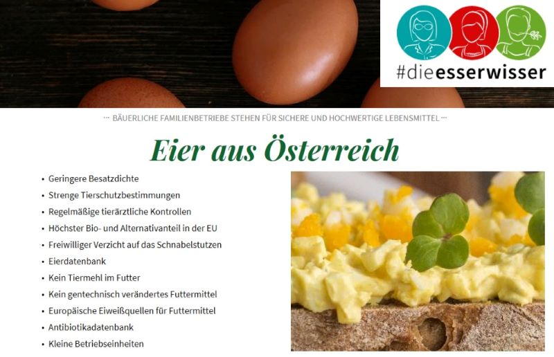 Ausschnitt Infografik Ei, mit Rührei auf einem Brot, Eier und Text