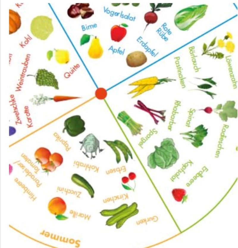 Ausschnitt des Saisonkalenders - eine Übersicht mit div. Gemüsesorten und zu welcher Jahreszeit man sie bei uns ernten kann