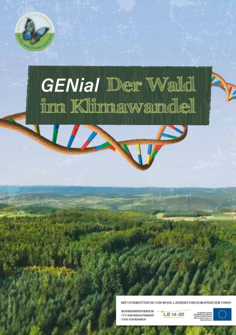 Deckblatt Broschüre GENial - Der Wald im Klimawandel, man sieht einen Wald und einen DNA-Strang