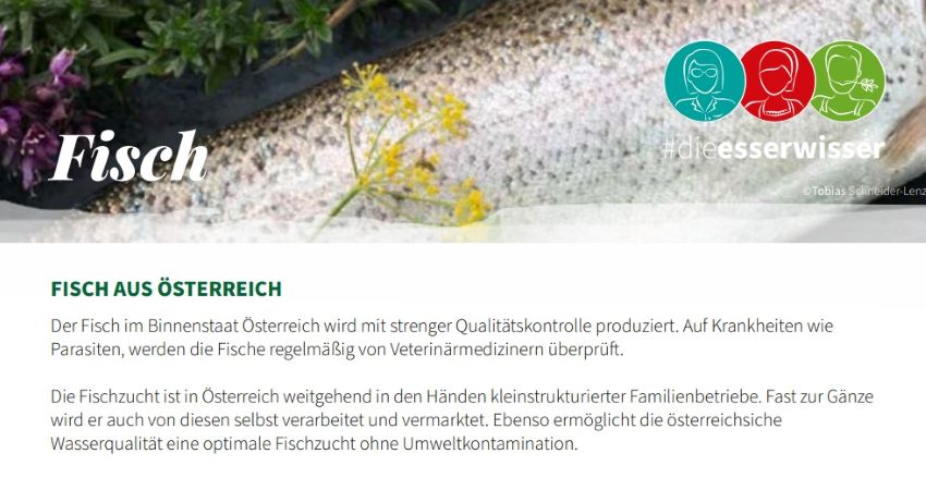 Ausschnitt der Grafik "Fisch aus Österreich", abgebildet ist ein Teil eines Fisches