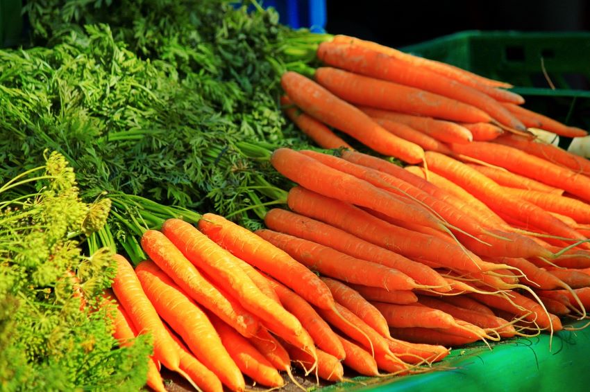 Karotten auf einen Haufen
