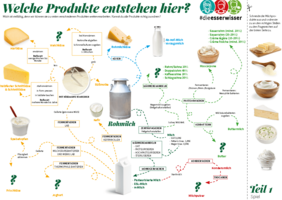 Ausschnitt verschiedener Milchprodukte, wie zB. Milchflasche, Käsesorten, Jogurt, Butter, uvm.
