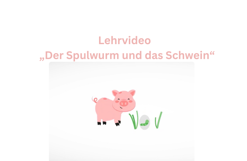 Das Schwein und der Spulwurm im Gras
