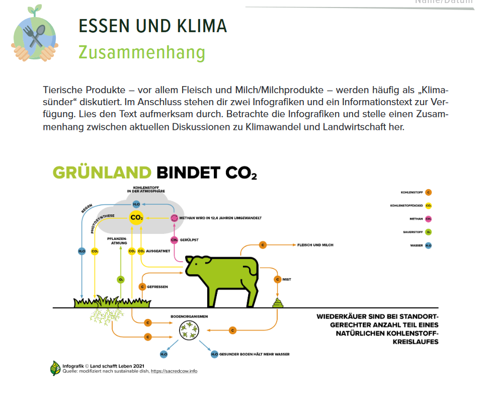 Ausschnitt Grafik Grünland bindet CO2 