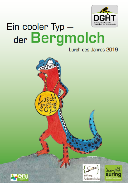 Das Titelblatt der Broschüre "Ein cooler Typ - der Bergmolch" zeigt einen skizzierten, kindhaft dargestellten Bergmolch, welcher ein Schild mit "Lurch des Jahres 2019" hält