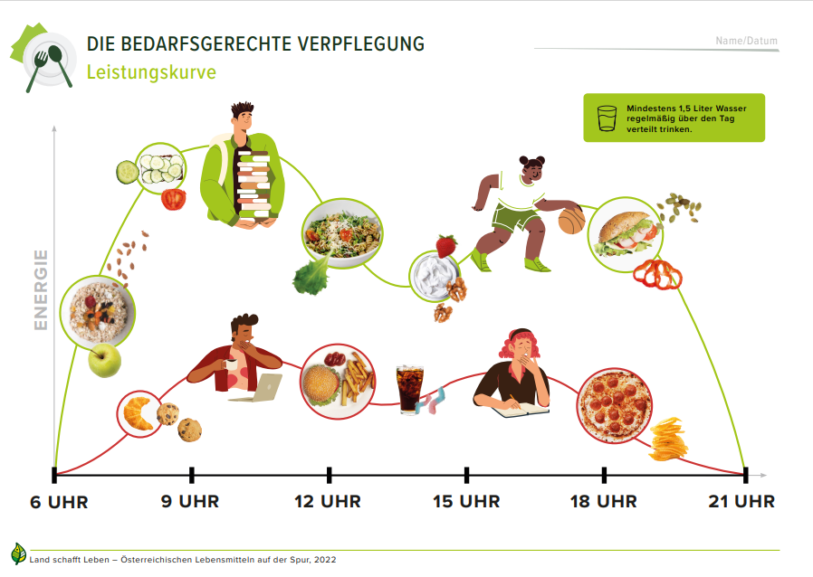 Die Grafik zeigt zwei Leistungskurven mit unterschiedlichen Verlauf. Bei ausgewogener Ernährung ist man leistungsfähiger als bei ungesunder Ernährung. 