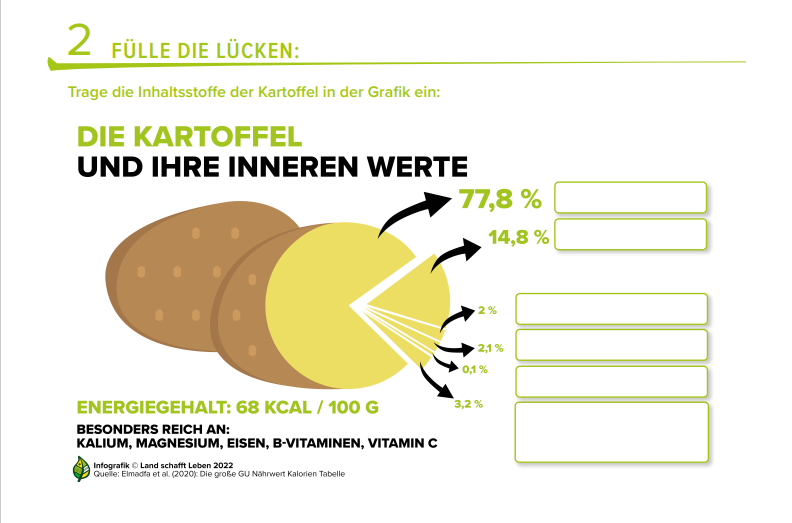 Infografik mit der Abbildung einer Kartoffel und freien Feldern zum Beschriften der Inhaltsstoffe einer Kartoffel