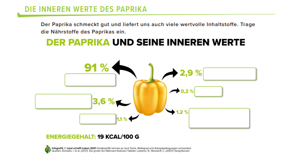 Ausschnitt aus einem Arbeitsblatt mit zwei Paprika-Infografiken zum Beschriften
