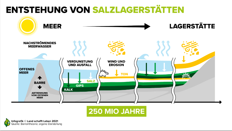 Infografik zur schrittweisen Entstehung von Salzlagerstätten