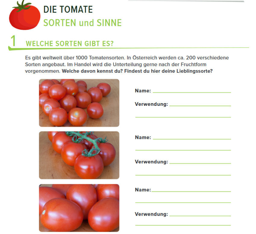 Auszug aus dem Arbeitsblatt Tomaten mit drei Tomatensorten