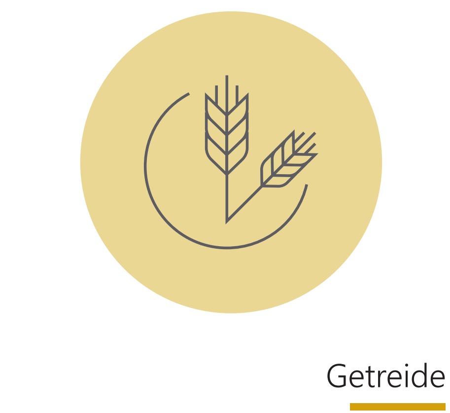 Getreidepflanze