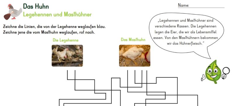 Ausschnitt Grafik mit Legehühner und Masthühner