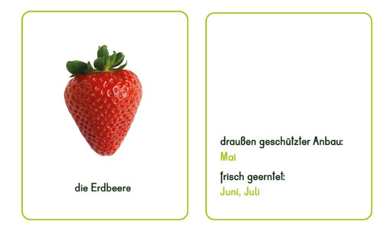 Eine Erdbeere und ein Textfeld mit Informationen zur Pflanzung und Ernte