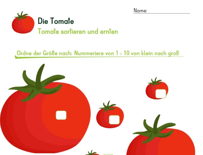 Ausschnitt Arbeitsblatt Tomate