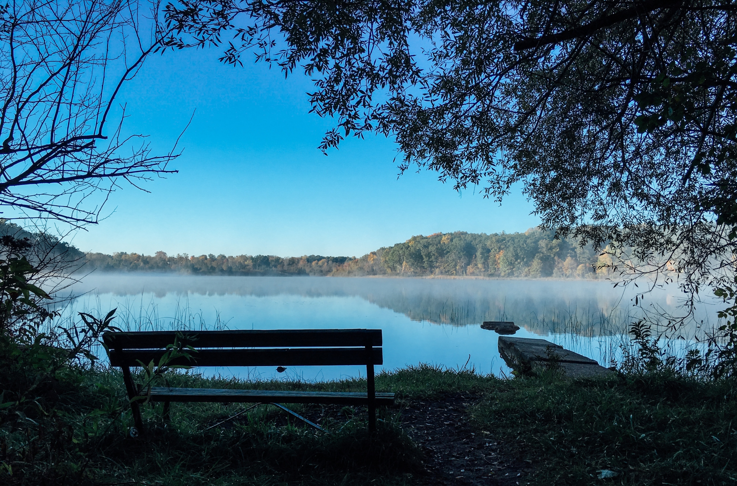 Eine Holzbank steht einsam vor einem großen See in einem Wald