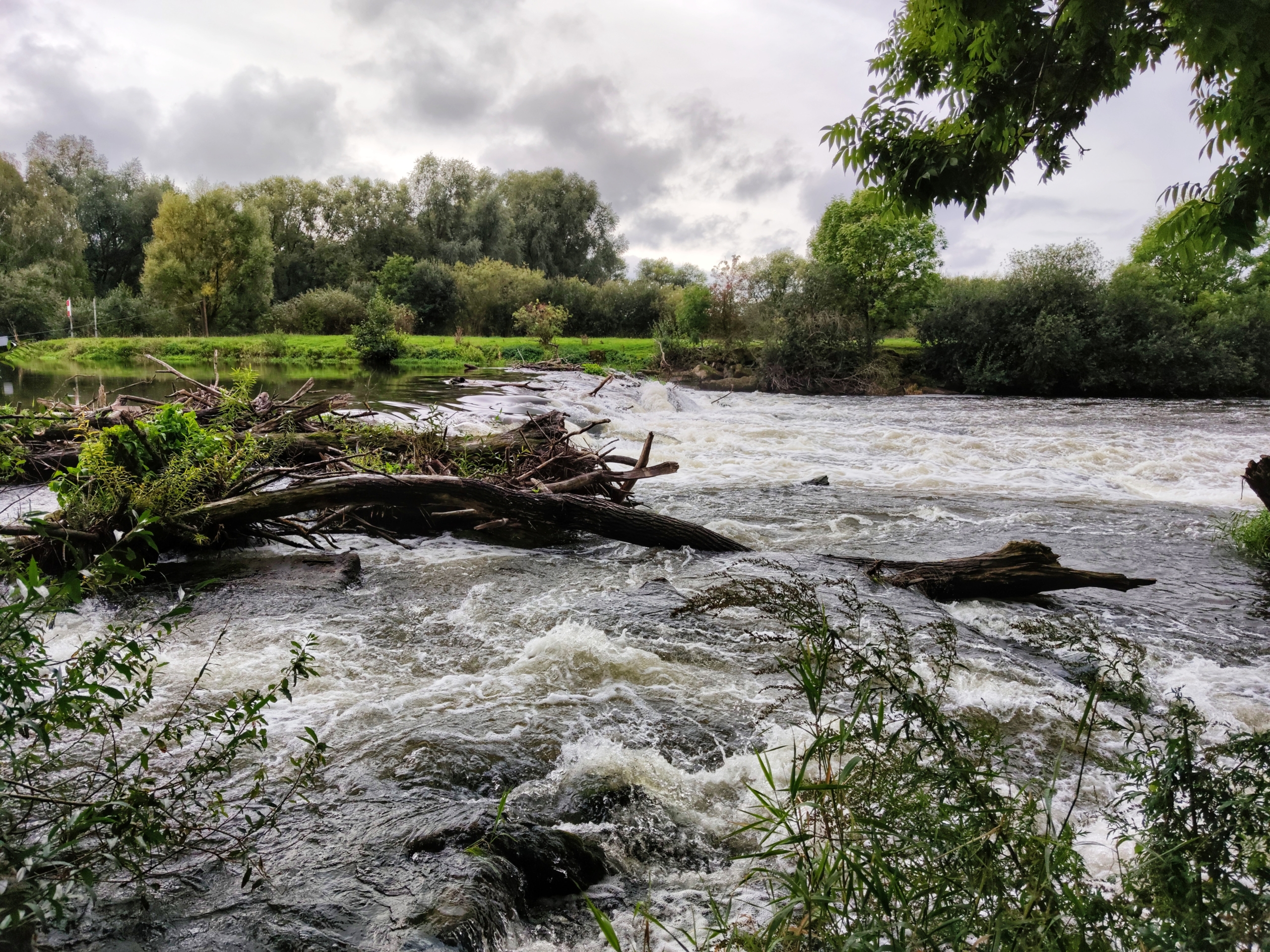 Nahaufnahme eines Uferbereichs eines Flusses mit erhöhtem Wasserstand