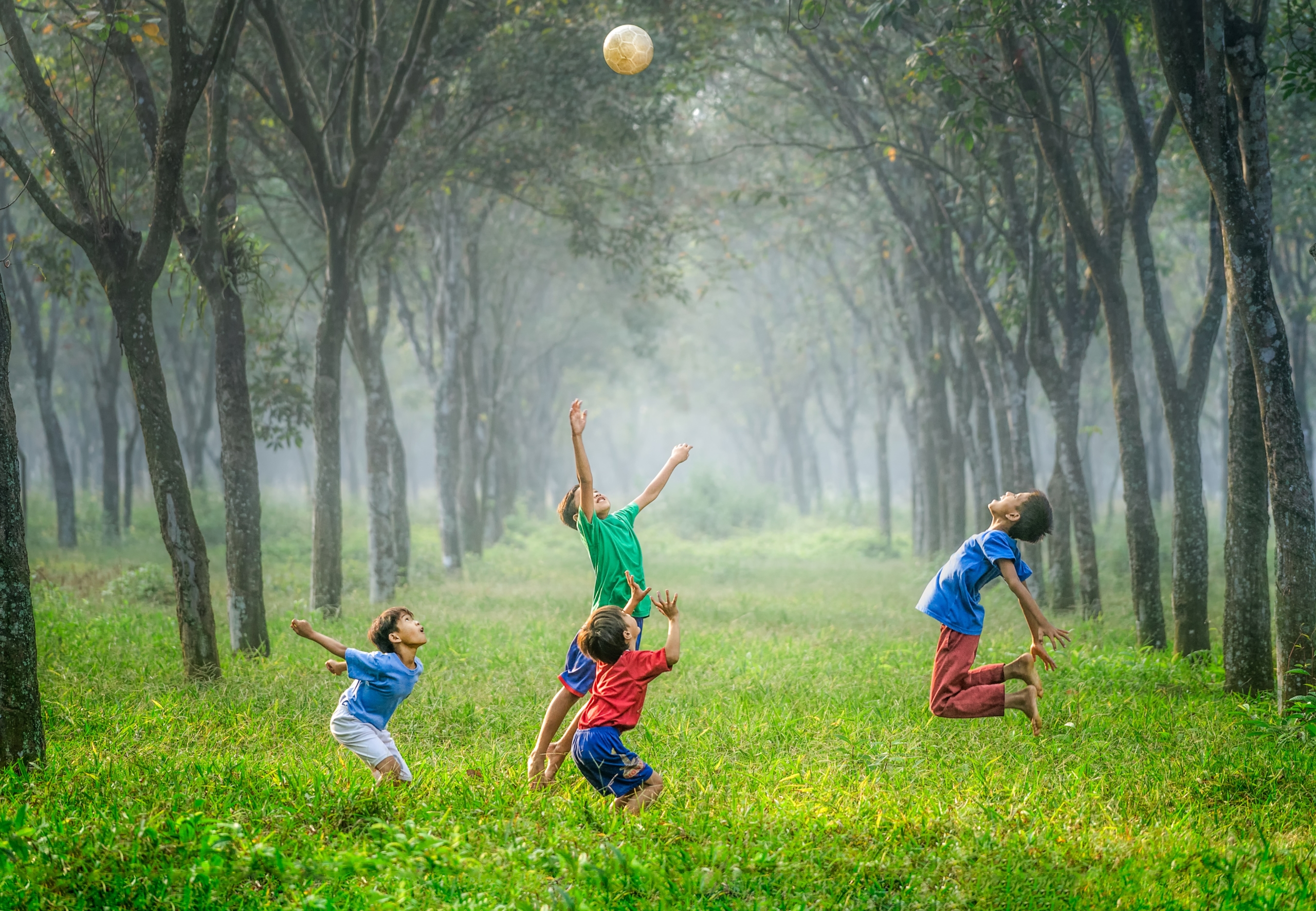 Vier Kinder spielen auf einer Wiese im Wald