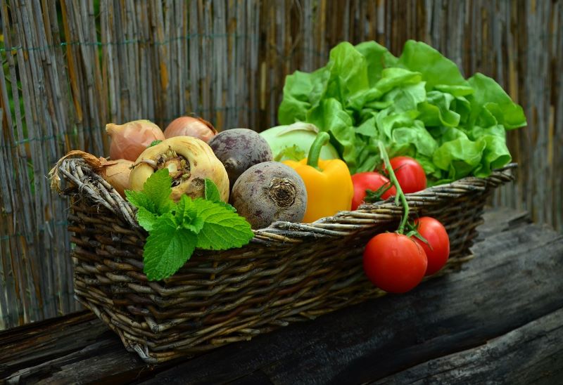 Gemüse in einem Korb; Tomaten, Rüben, Paprika, Salat, Zwiebel, usw..