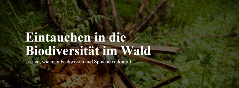 "Biodiversität Wald"; Farn und Holz