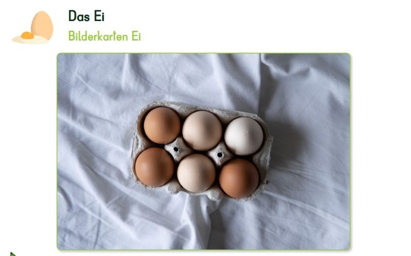 Eier im Eierkarton