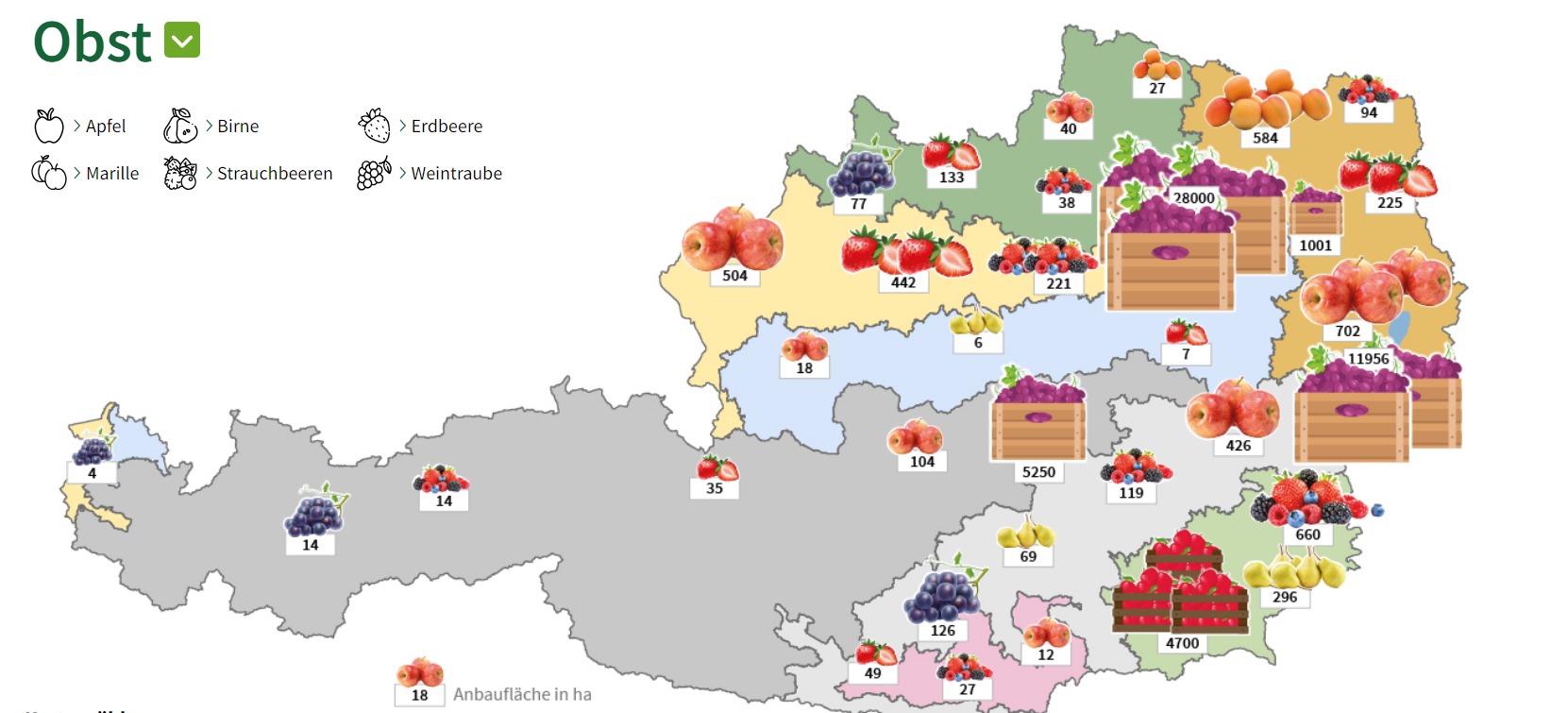 Eine Österreichkarte mit Kennzeichnung der Obstsorten die in den Bundesländern angebaut werden und die Menge an Anbaufläche.