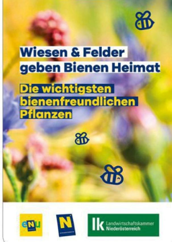 Deckblatt der Bestimmungsfächer "Wiesen und Felder geben Bienen Heimat" mit Blumen und Bienen darauf