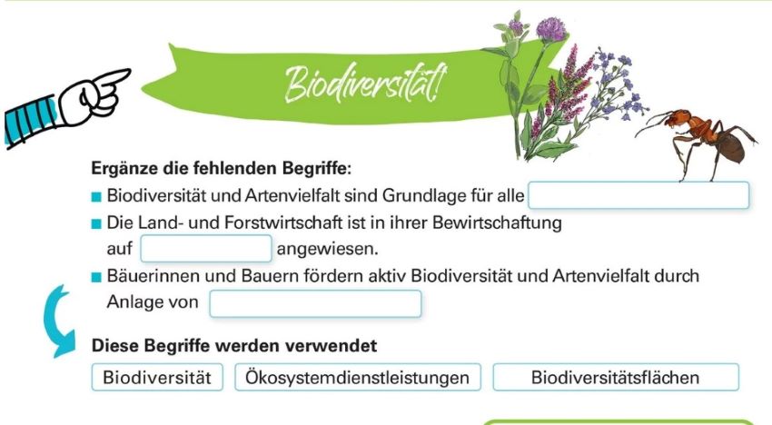 Ausschnitt des Arbeitsblattes Biodiversität mit einem Lückentext. Blumen und eine Ameise zieren auch das Blatt.