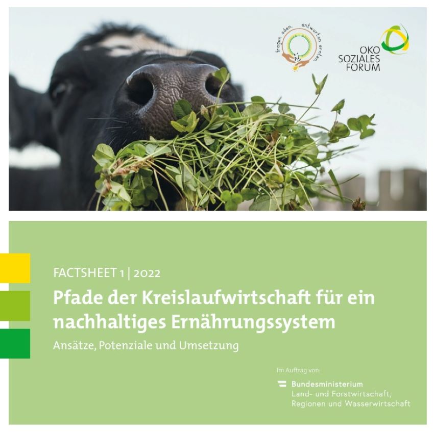 Deckblatt vom Factsheet mit einer Kuh darauf die gerade Gras frisst
