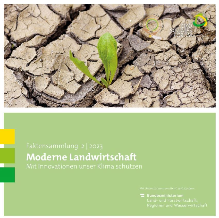 Deckblatt vom Factsheet, ein Stück Baumrinde aus denen eine Pflanze wächst