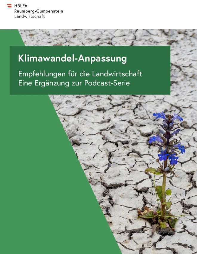 Deckblatt der Broschüre Klimawandel-Anpassung mit grünem Hintergrund und einer Blume die aus dürrem Boden wächst