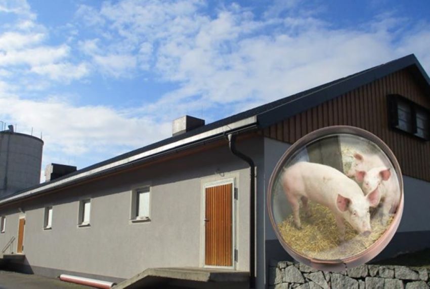Ein Schweinestall von außen und im Hintergrund steht ein Silo, in der Lupe kann man Schweine und Heu sehen.