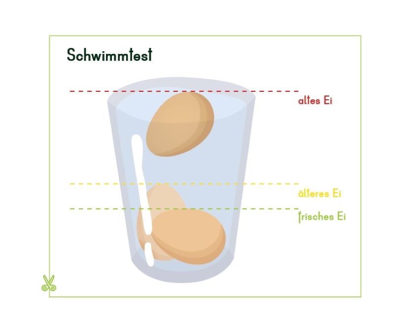 Schwimmtest - ein Glas in dem ein Ei schwimmt (altes Ei) und welche am Boden liegen, älteres oder frisches Ei