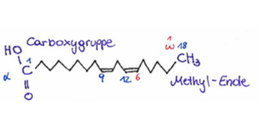 Dipeptid