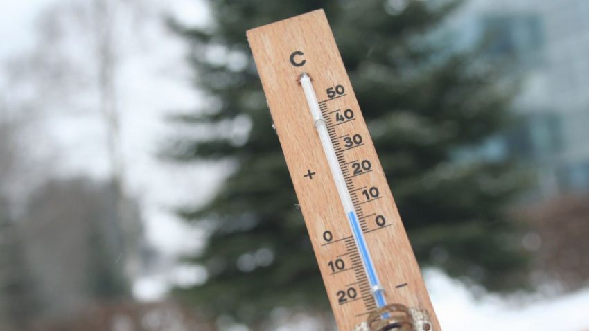 Thermometer aus Holz im Freien, welches momentan unter 10 Grad Celsius anzeigt, im Hintergrund sieht man noch einen Baum