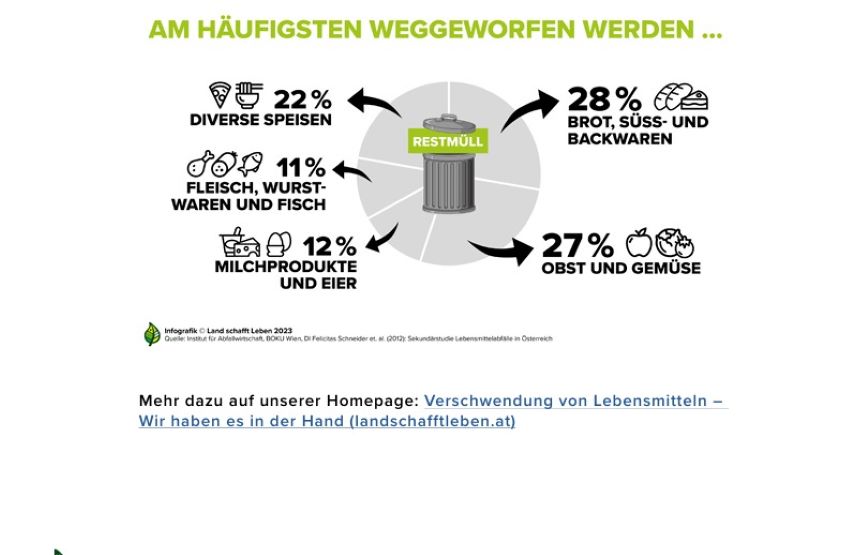 Ausschnitt vom Arbeitsblatt - mit einer Mülltonne und rundherum Lebensmittel und die Prozentangabe, wie viel davon bei uns im Müll landet