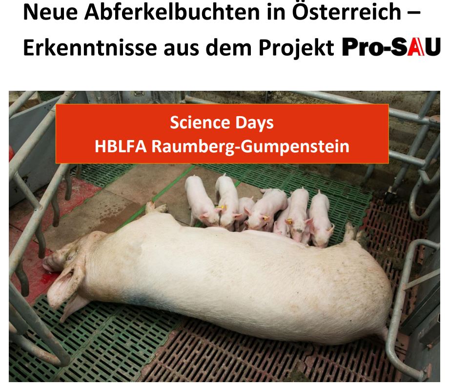 Titelbild des Handouts, Zuchtsau mit Ferkel