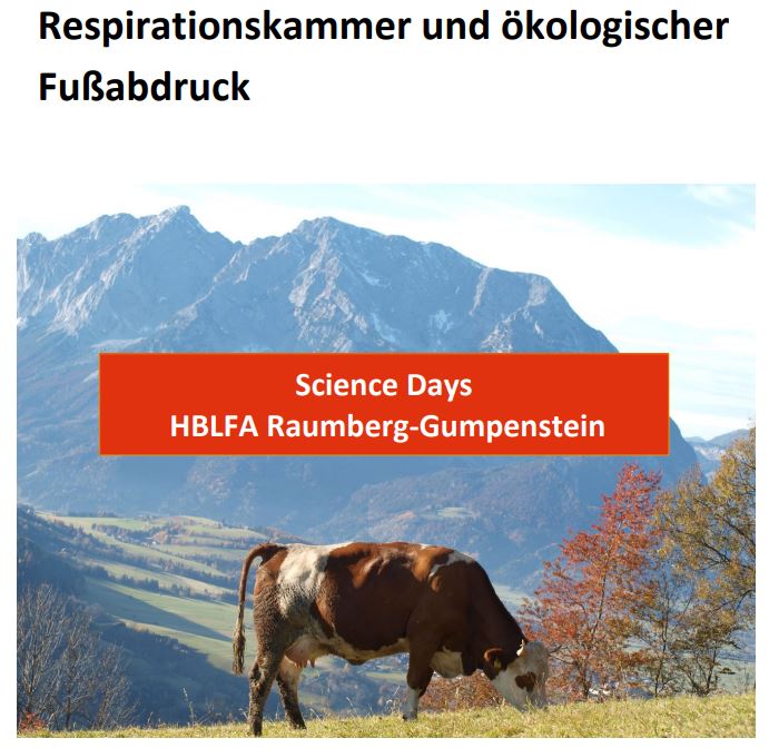 Titelbild des Handouts, Rind auf Weide mit Gebirge im Hintergrund
