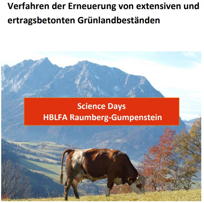 Titelbild des Handouts, Rind auf Weide mit Gebirge im Hintergrund