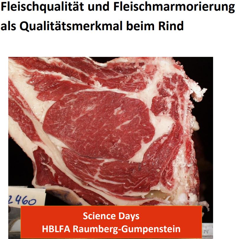 Titelbild des Handouts, Fleischstück vom Rind