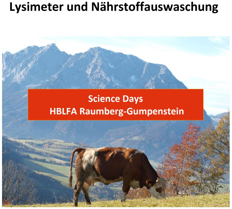 Titelbild des Handouts, Grünland mit Gebirge im Hintergrund, im Vordergrund Rind beim grasen