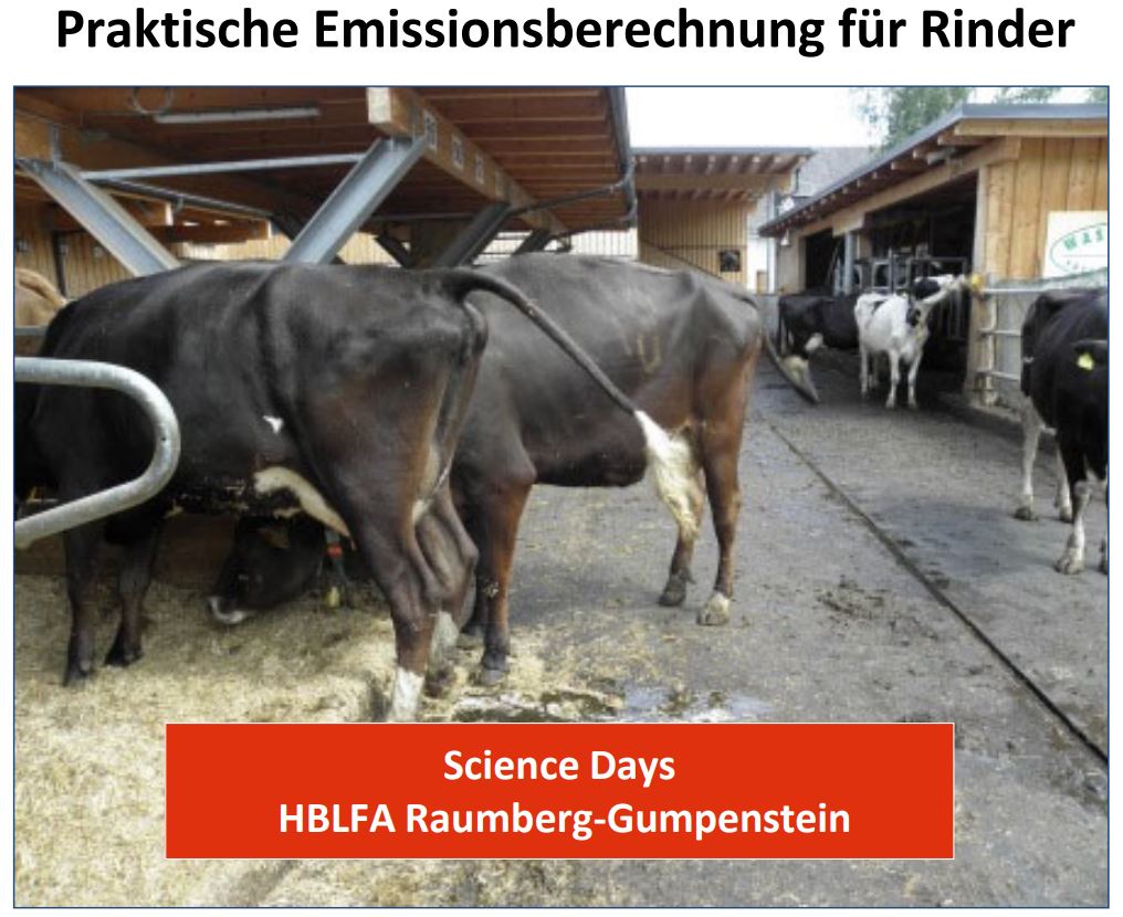 Titelbild des Handouts, Rinder im Offenstall