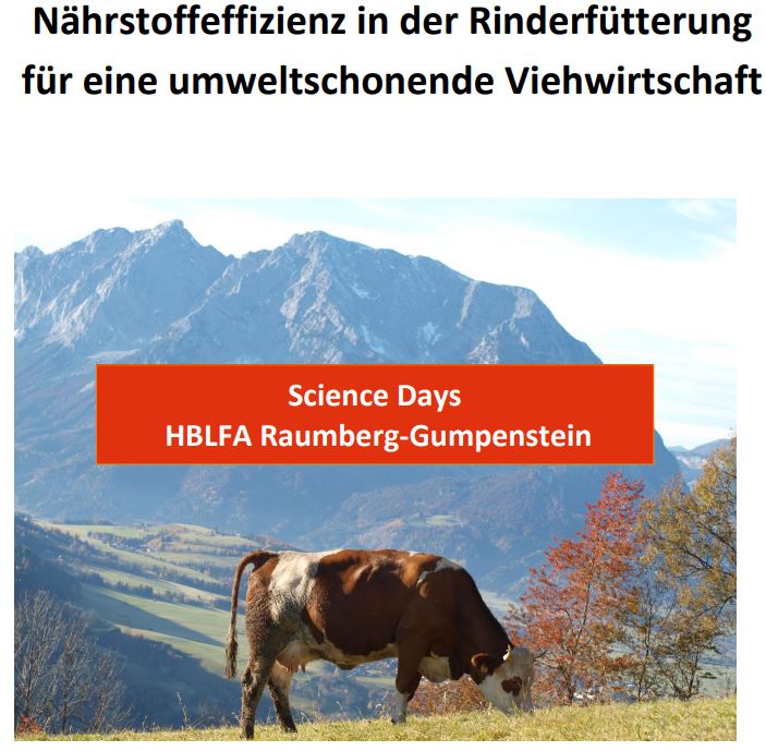 Titelbild des Handouts, Rind auf Weide mit Gebirge im Hintergrund