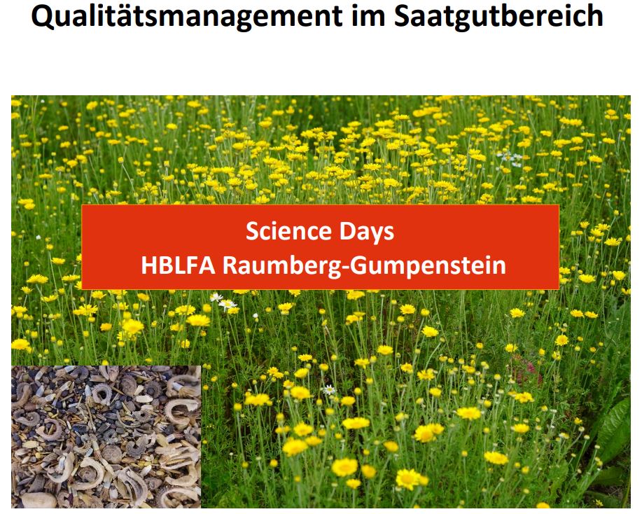 Titelbild des Handouts, Wiese